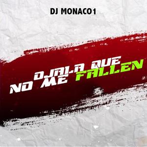 Ojala Que No Me Fallen