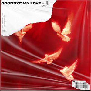 GOODBYE MY LOVE