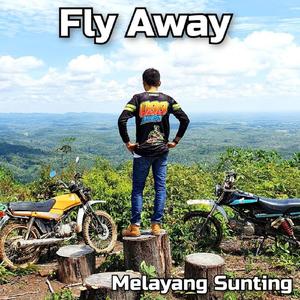 Fly Away