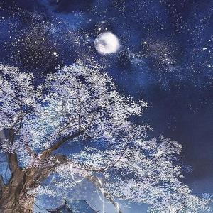 夜风无意作情歌