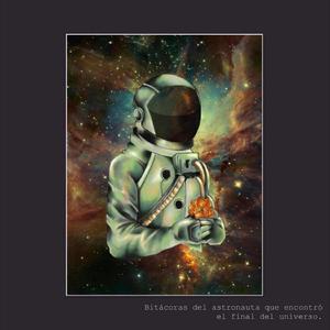 Bitácoras del Astronauta que Encontró el Final del Universo