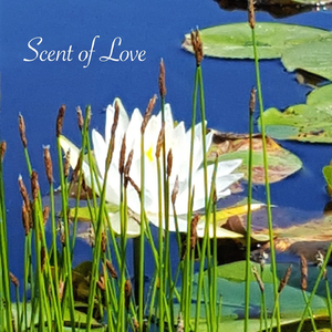 What a Wonderful World