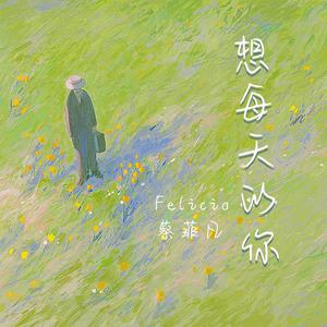想每天的你 伴奏