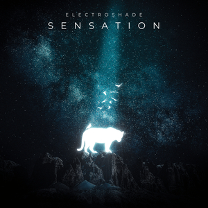 Sensation