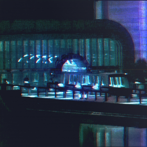 Luci