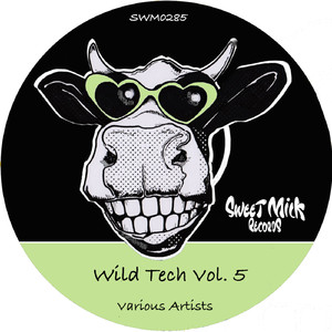 Amiguita (Original Mix)