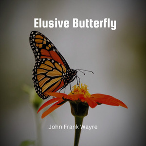 Elusive Butterfly
