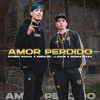 Cumbia rocha - Amor Perdido (Remix)