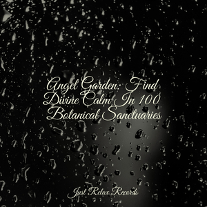 Tranquil Haven Trail