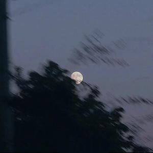 Billie Eilish-20230228下午505（Lickks remix）