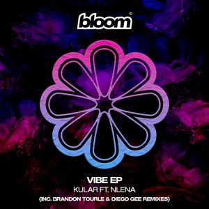 Vibe (Diego Gee (UK) Remix)