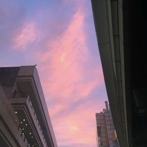 指纹（女声版）