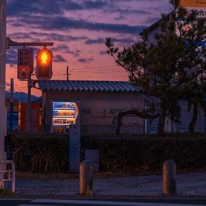 雁引歌||高燃高甜cp向||