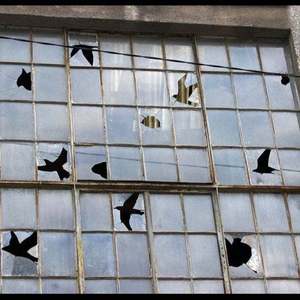 不归（fxxk the memories）