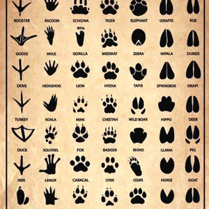 Has To Be Instrumental loop slowed n reverb