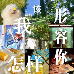 我该怎样形容你