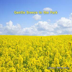 잔잔한 바람부는 공원