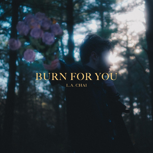 Burn for You