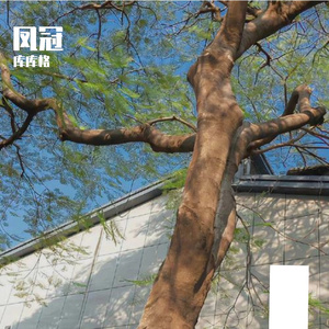 窗外-整曲