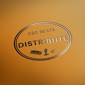 Distribute (Instrumental) (Instrumental)