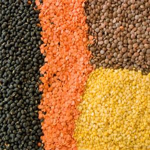 lentil (feat. phonetic)