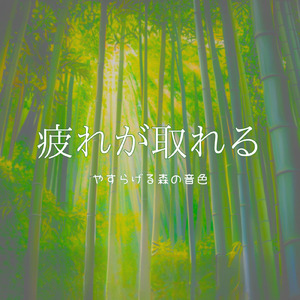 深いリラックス 音楽 (森)