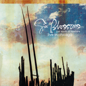 Idiot Summer (Live at the Metro)