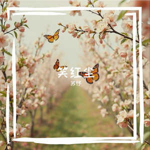 笑红尘（重制版）