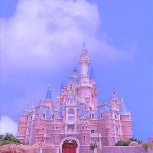 真没睡