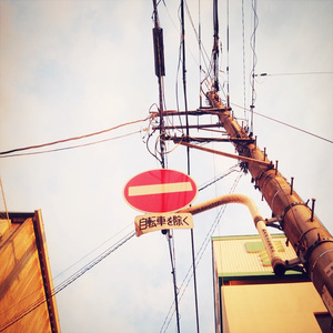 The Last Night of the World