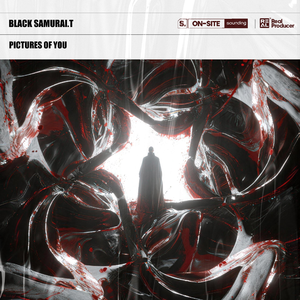 Pictures Of You (Remix)