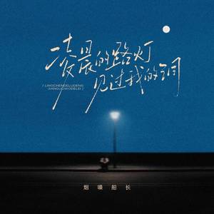 凌晨的路灯见过我的泪