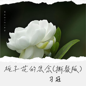 栀子花的思念 (撕裂版)