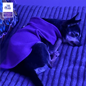 Don't wake my girl she's sleeping