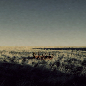 Weaponized Incompetence