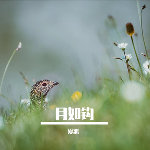 钟意的 听一听 想一想 静一静