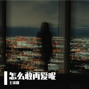 怎么敢再爱呢