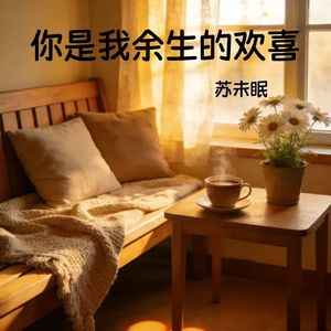 你是我余生的欢喜-苏见晴