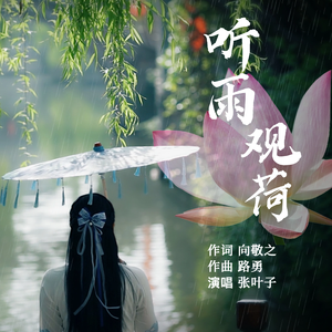 听雨观荷