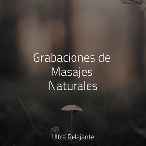 Tranquilidad Burbujeante