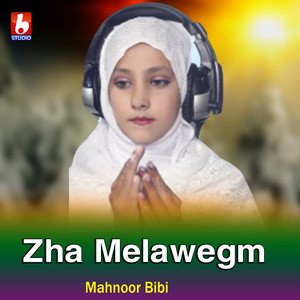 Zha Melawegm