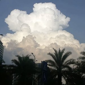 《最后一封手写信》