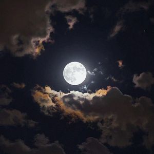 《中秋月满情》