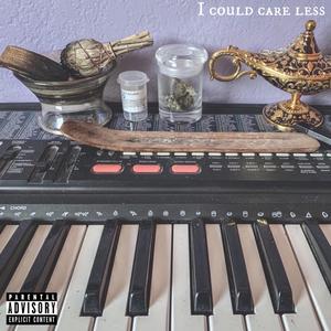 I Could Care Less (feat. Zane's World)