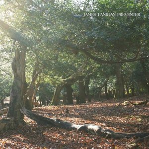 New Forest