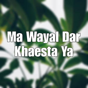 Ma Wayal Dar Khaesta Ya