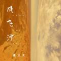 风飞沙 (DJ版)