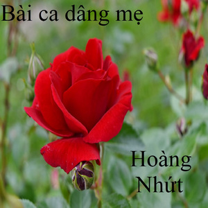 Thái sơn còn đâu 2