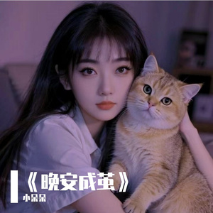 《晚安成茧》