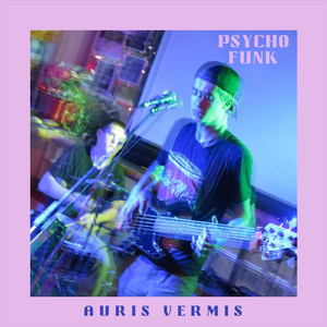Psycho Funk (Live at the Blue Dog Motel)